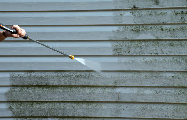 Best Post-Flood Mold Remediation in Eatonville, WA