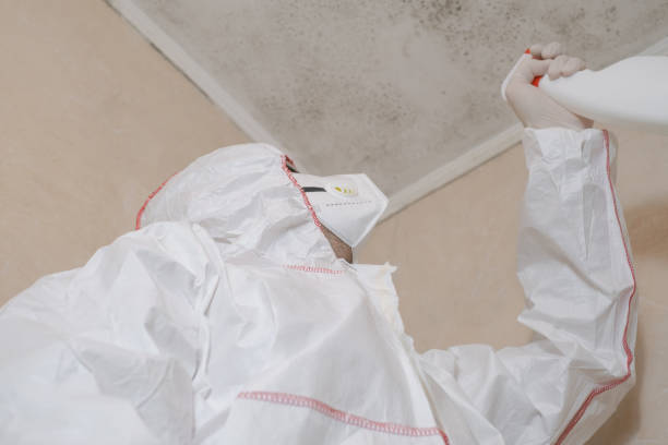 Best Attic Mold Remediation in Eatonville, WA